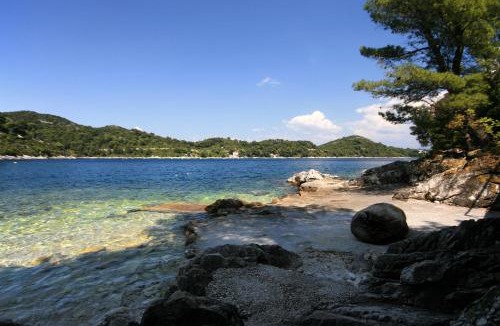Sobra Apartment | Apartments by the sea Sobra, Mljet - 7531