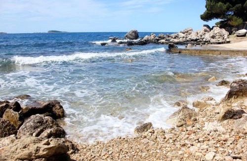 Zupa dubrovacka Apartment | Apartments by the sea Soline, Dubrovnik - 8825