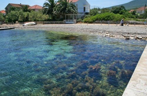 Sreser Apartment | Apartments by the sea Sreser, Peljesac - 4557
