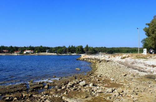 Krizine Apartment | Apartments by the sea Sveti Ivan, Umag - 9692