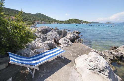 Putnikovic Apartment | Apartments by the sea Zuronja, Peljesac - 12020