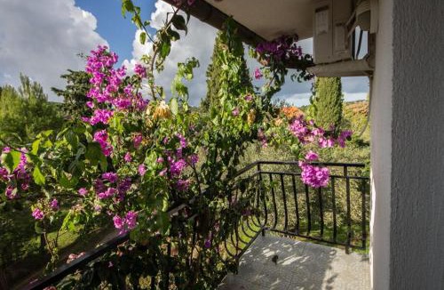 Zdrelac Apartment | Apartments Daju