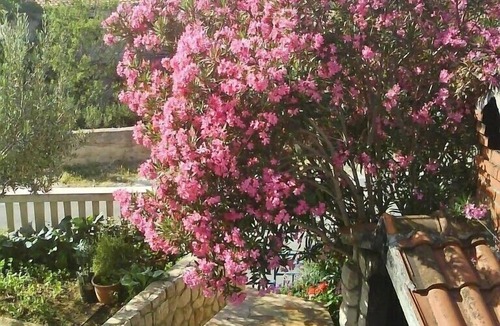 Tijesno Apartment | Apartments Damir, (14531), Tisno, hr