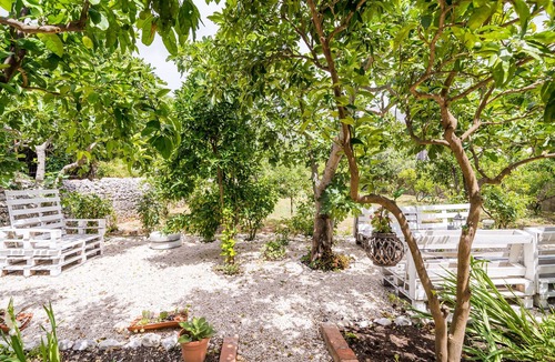 Slano Apartment | Apartments Davor (83521-A1) - Slano (Dubrovnik)