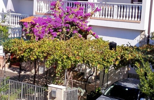 Nin Apartment | Apartments Dobrica, (14448), Privlaka, hr