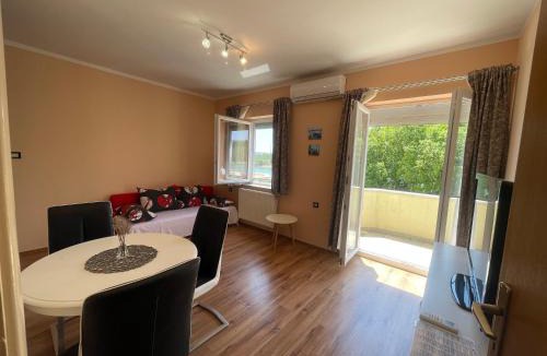 Obrovac Apartment | Apartments Duje Ribnica