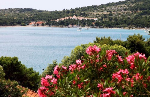 Tijesno Apartment | Apartments Hari (89361-A4) - Tisno - island Murter