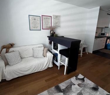 Breitenrain-Lorraine Apartment | Apartments in Bern - Green Relax