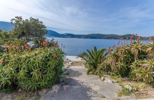 Vis Apartment | Apartments Ivanka (40901-A1) - Vis - island Vis