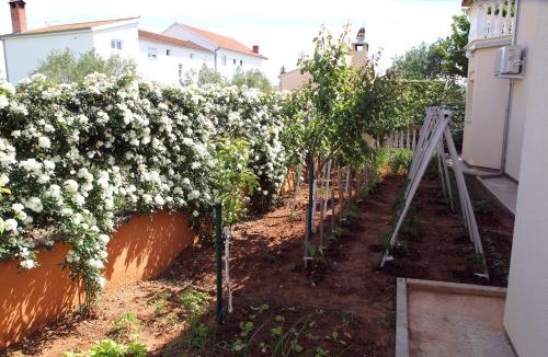 Biograd na Moru Apartment | Apartments Kata