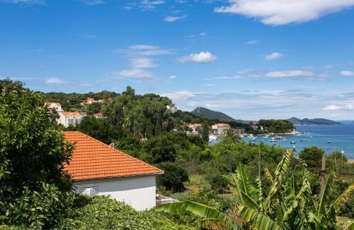 Kolocep Island Apartment | Apartments Maria