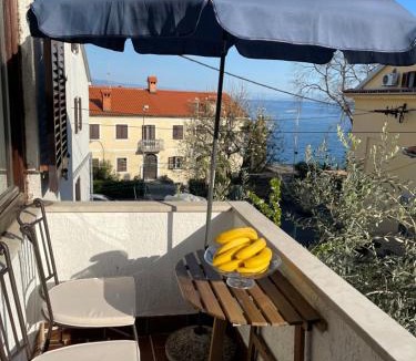 Volosko Apartment | Apartments Matacin with Sea View