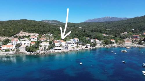 Molunat Apartment | Apartments Miovic