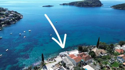 Molunat Apartment | Apartments Miovic