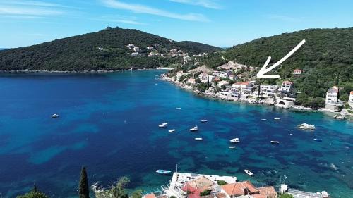 Molunat Apartment | Apartments Miovic