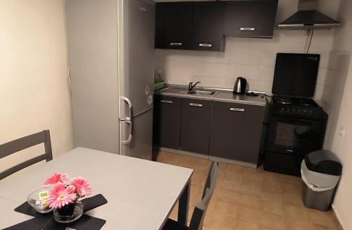 Povljana Apartment | Apartments Orlić
