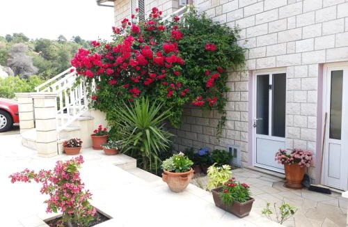 Brna Apartment | Apartments Pecotić