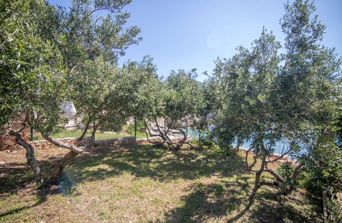 Gdinj Apartment | Apartments Robinzon Petar (41691-A1) - Gdinj - island Hvar