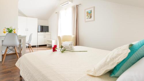 Babin Kuk Apartment | Apartments Sandra Solitudo II