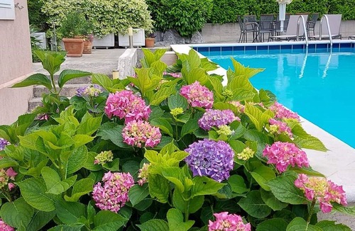 Cilipi Apartment | Apartments Villa Harmonia - One-Bedroom Apartment with Patio and Shared Pool