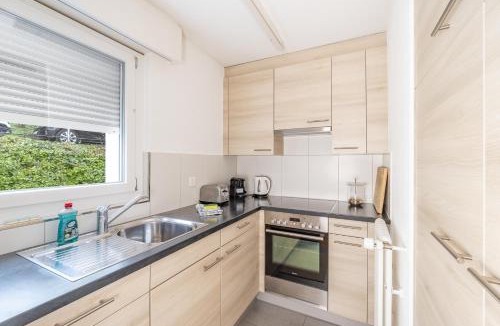 St. Gallen Apartment | Apartments Wildeggstrasse