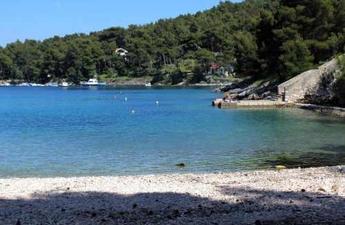 Cove Murtar Apartment | Apartments with a parking space Mali Losinj (Losinj) - 2500