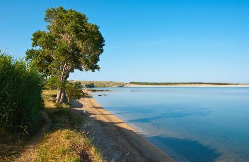 Povljana Apartment | Apartments with a parking space Povljana, Pag - 18177