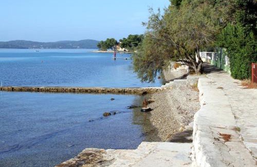 Sukosan Apartment | Apartments with a parking space Sukosan, Zadar - 5820