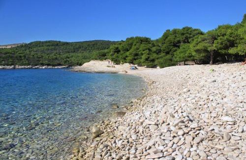 Rukavac Apartment | Apartments with a parking space Rukavac, Vis - 8837