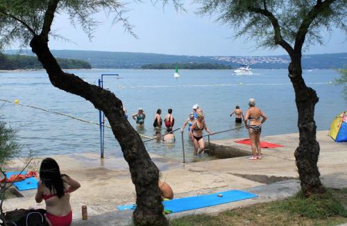 Punat Apartment | Apartments with a swimming pool Punat, Krk - 5378