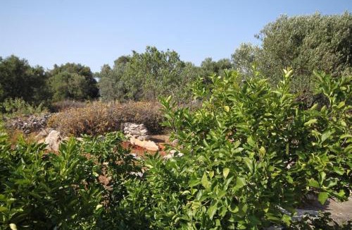 Bozava Apartment | Apartments with parking space Bozava, Dugi otok - 8124