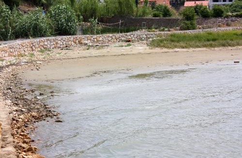 Suha Punta Apartment | Apartments with parking space Kampor, Rab - 4972