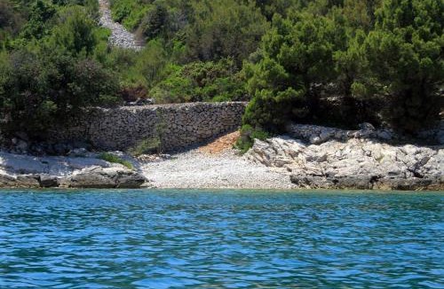 Zman Apartment | Apartments with parking space Zman, Dugi otok - 449