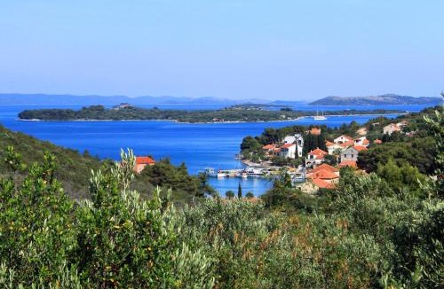 Zman Apartment | Apartments with parking space Zman, Dugi otok - 449