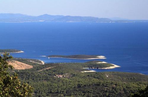 Rukavac Apartment | Apartments with parking space Rukavac, Vis - 8489