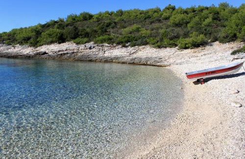 Rukavac Apartment | Apartments with parking space Rukavac, Vis - 8489