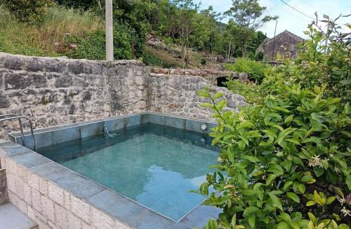 Konavle Apartment | Apartments with swimming pool Gruda, Dubrovnik - 25021