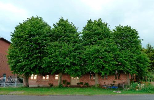 Fehmarn Apartment | Apfelhof Fehmarn