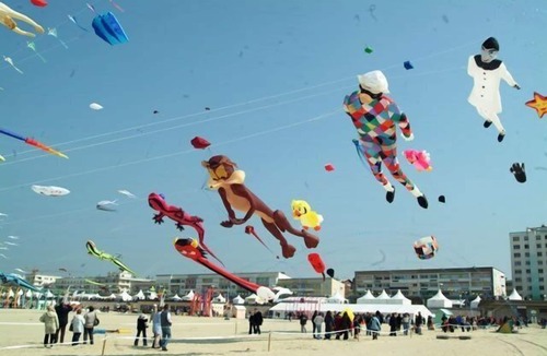 Berck-sur-Mer Apartment | APOL403 : Sea-facing studio for 4 people, exceptional view