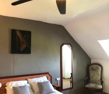 Saint-Philbert-de-Grand-Lieu Apartment | Appartement - LES COMBLES DU CHATEAU DES MARAIS - Avec vue sur le lac - POUR 2 à 5 PERSONNES