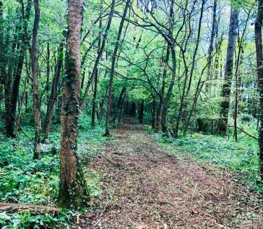 Saint-Philbert-de-Grand-Lieu Apartment | Appartement LOGIS DES MARAIS