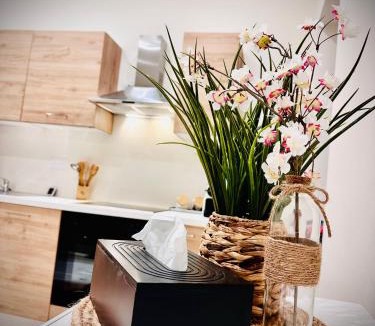 Auch Apartment | Apparemment Cosy - Centre Auch