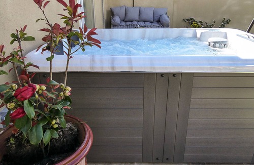 Saint-Martin-de-Crau House | Apparently vacation home with hammam and private jacuzzi