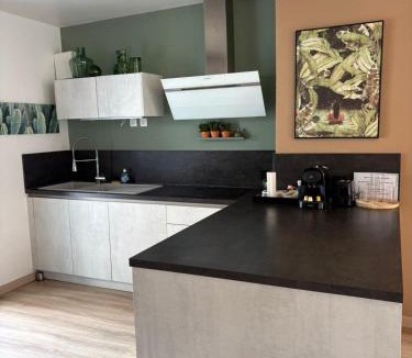 Lille House | Appart 10 pers - Lille Lambersart - Parking & Terrasses