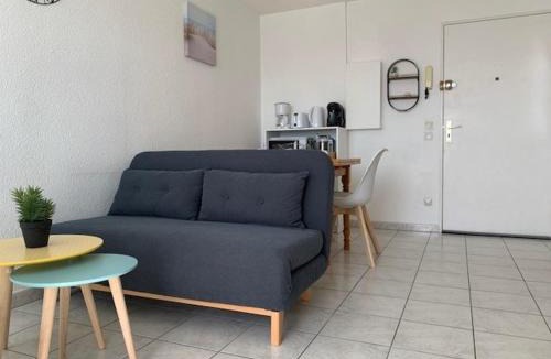 Balaruc-les-Bains Apartment | Appart 2* avec clim et animaux admis à Balaruc-les-Bains - FR-1-503-127