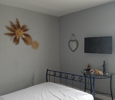 Noyen-sur-Sarthe Apartment | Appart 3 chambres