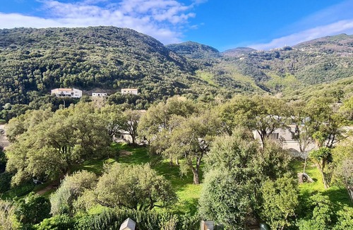 Figarella Apartment | Appart. 6 Pers. vue Mer/montagne