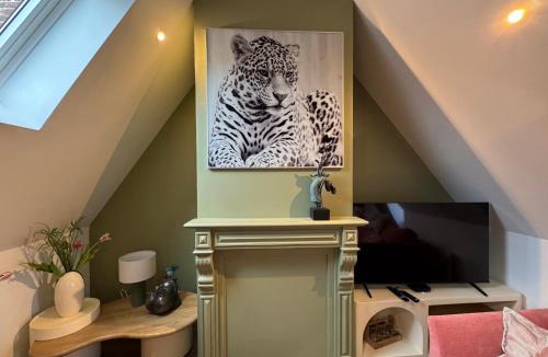 Saint-Omer Apartment | Appart CATHEDRALE