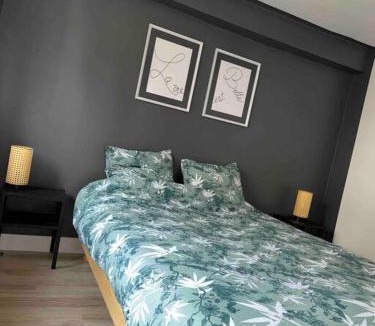 La Loupe Apartment | Appart centre ville