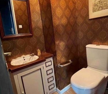 Vierzon Apartment | Appart charme centre Vierzon 3 *